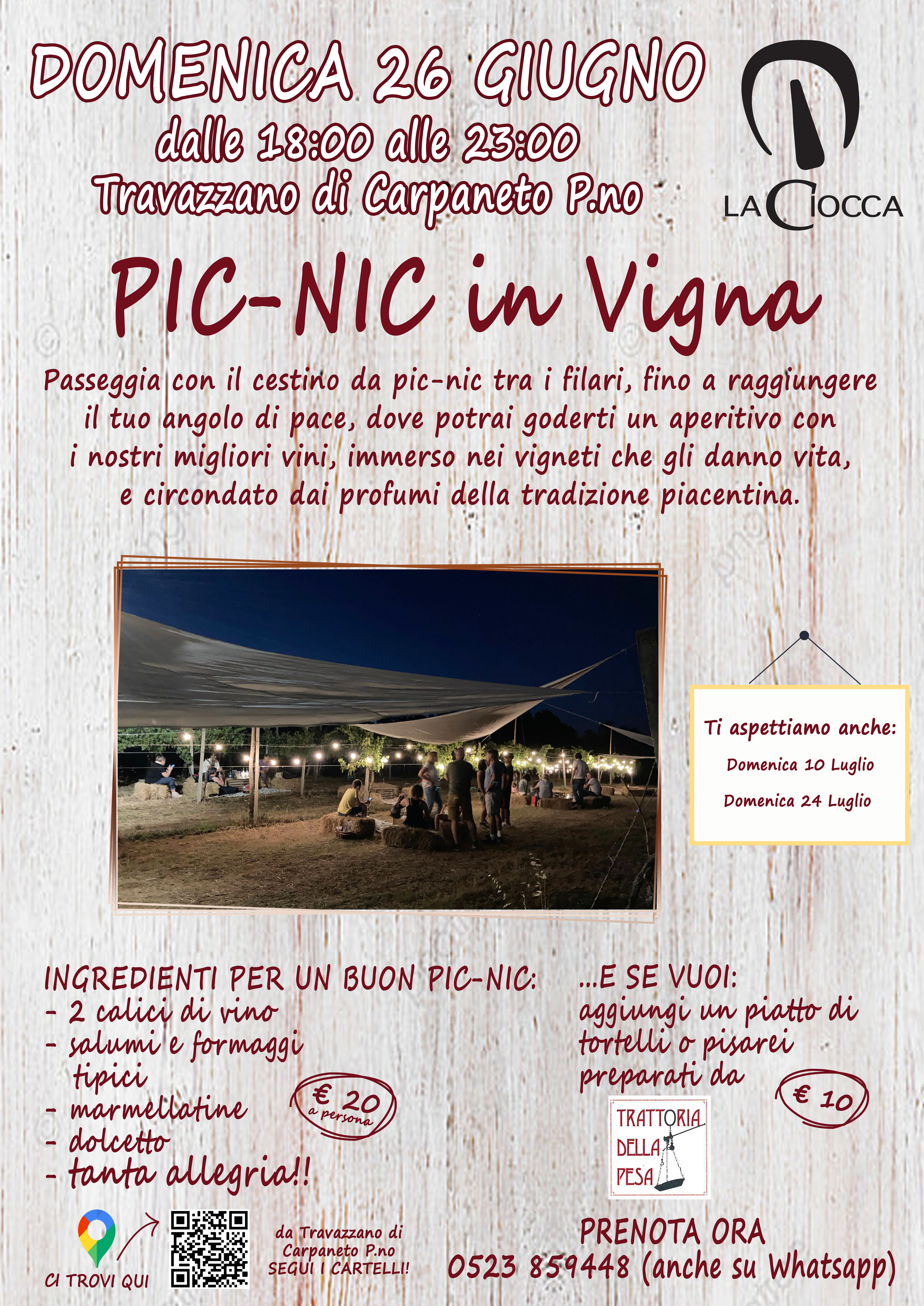 Siamo Pronti Per Un Nuovo Pic Nic In Vigna E Voi? DOMENICA 26 GIUGNO